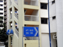 Blk 61 Geylang Bahru (S)330061 #261822
